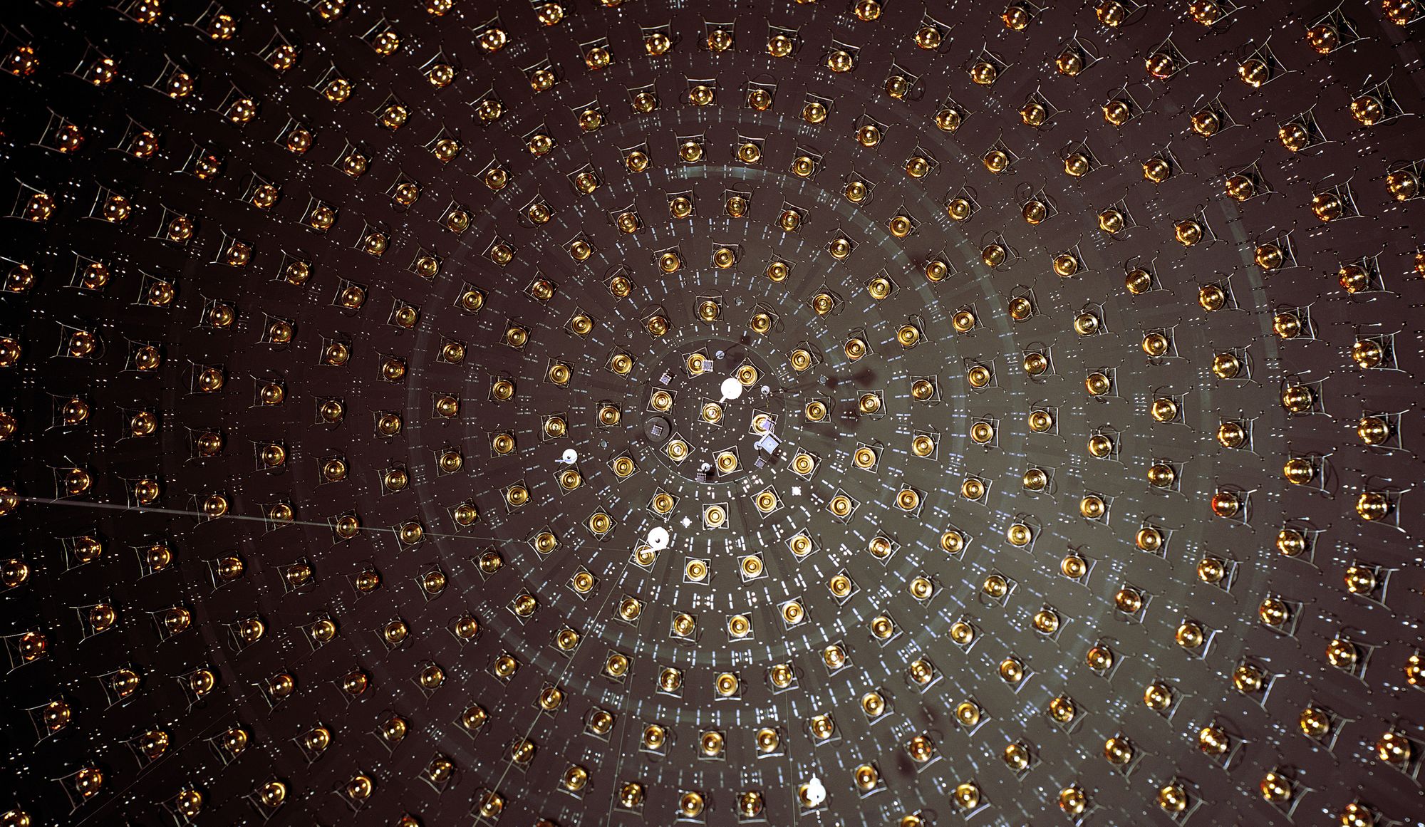 Did we just discover the 'sterile neutrino'?